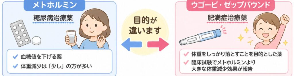 メトホルミン 肥満治療 違い