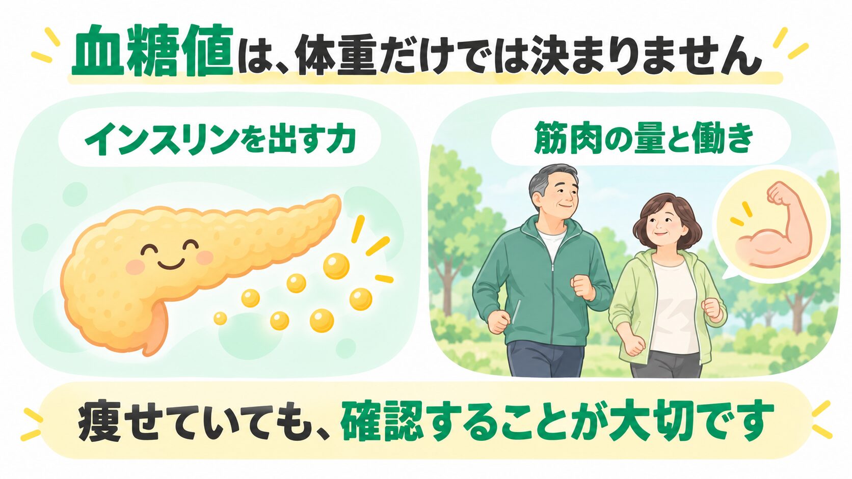 血糖値にはインスリンを出す力と筋肉の量・働きが関わることを示すイラスト