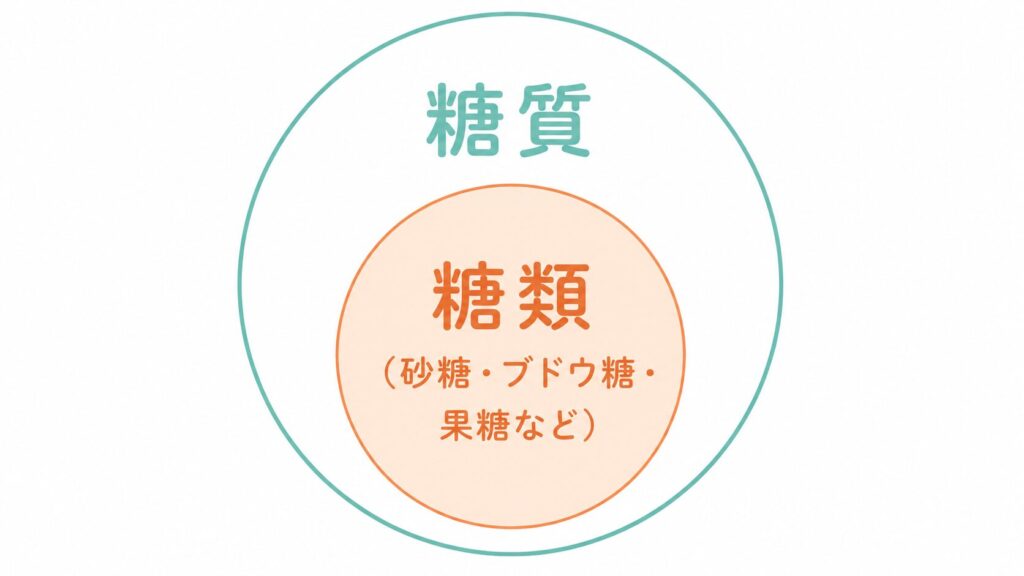 糖質と糖類の関係図:糖質という大きな枠の中に糖類が含まれることを示す入れ子の丸の図解イラスト