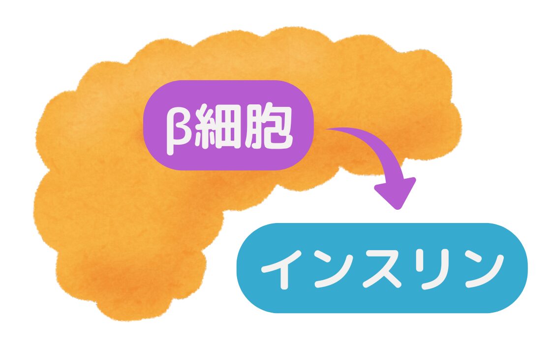 インスリン