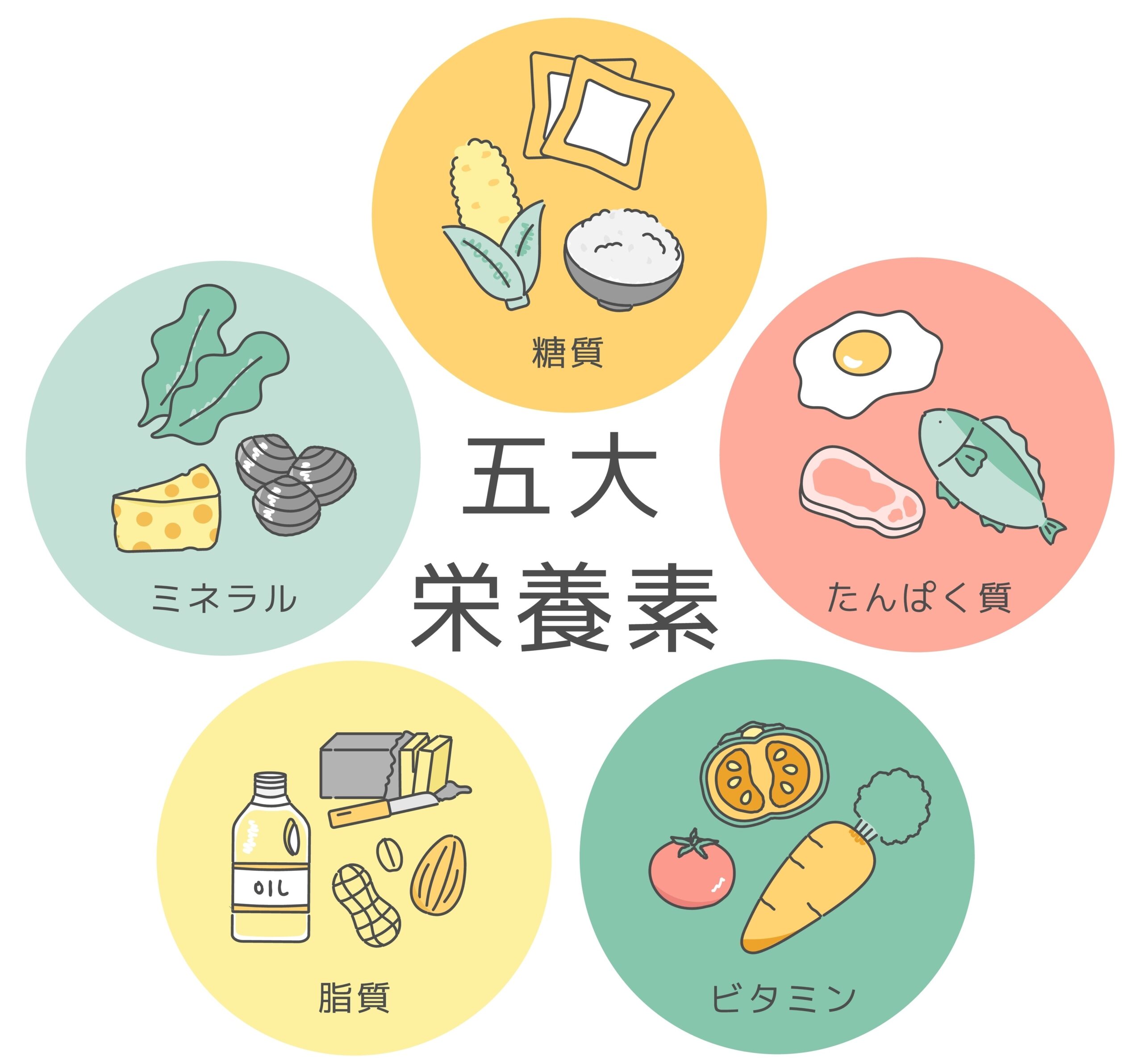 五大栄養素