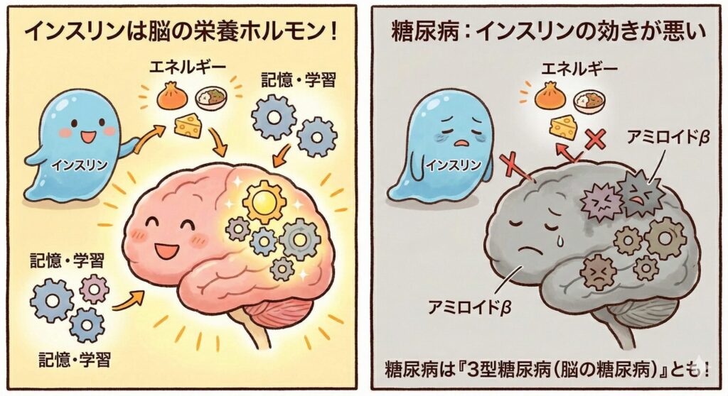 インスリン 認知症 関係