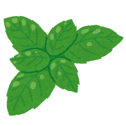 leaf_basil