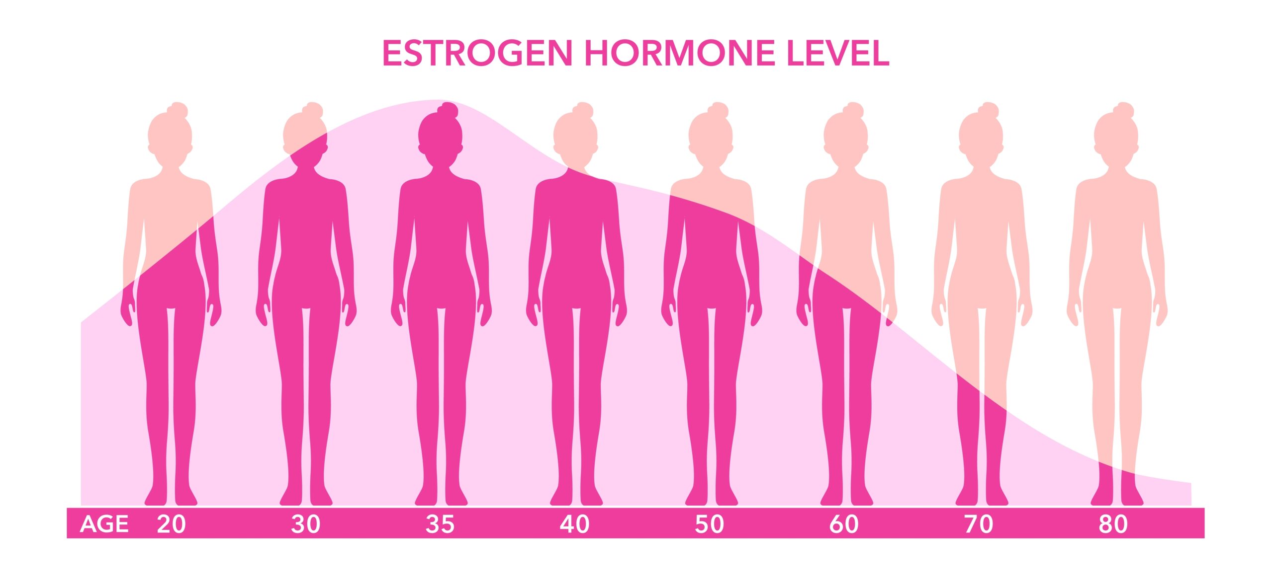 Estrogen,Hormone,Level,Graphic,Diagram,With,Women,Body,Silhouette.,Hormone